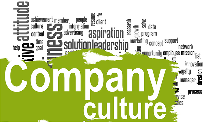 What Is Company Culture
